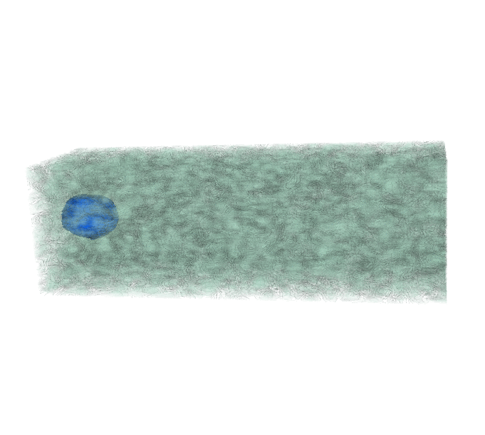 Cell moving within a dense fibrous environmnent